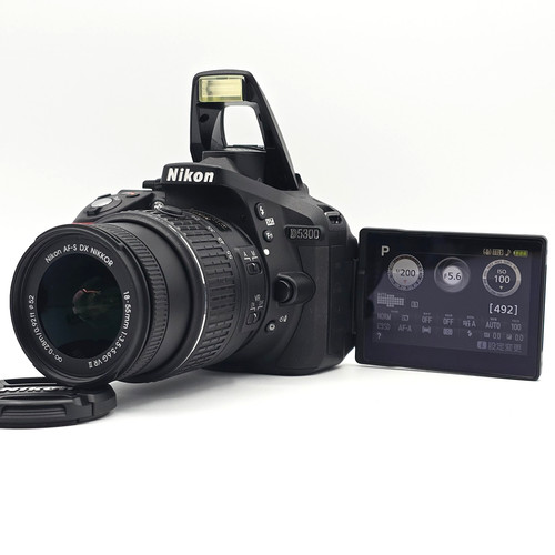 1100 scatti nikon d5300 - [1100,